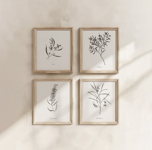 Botanical Illustrations