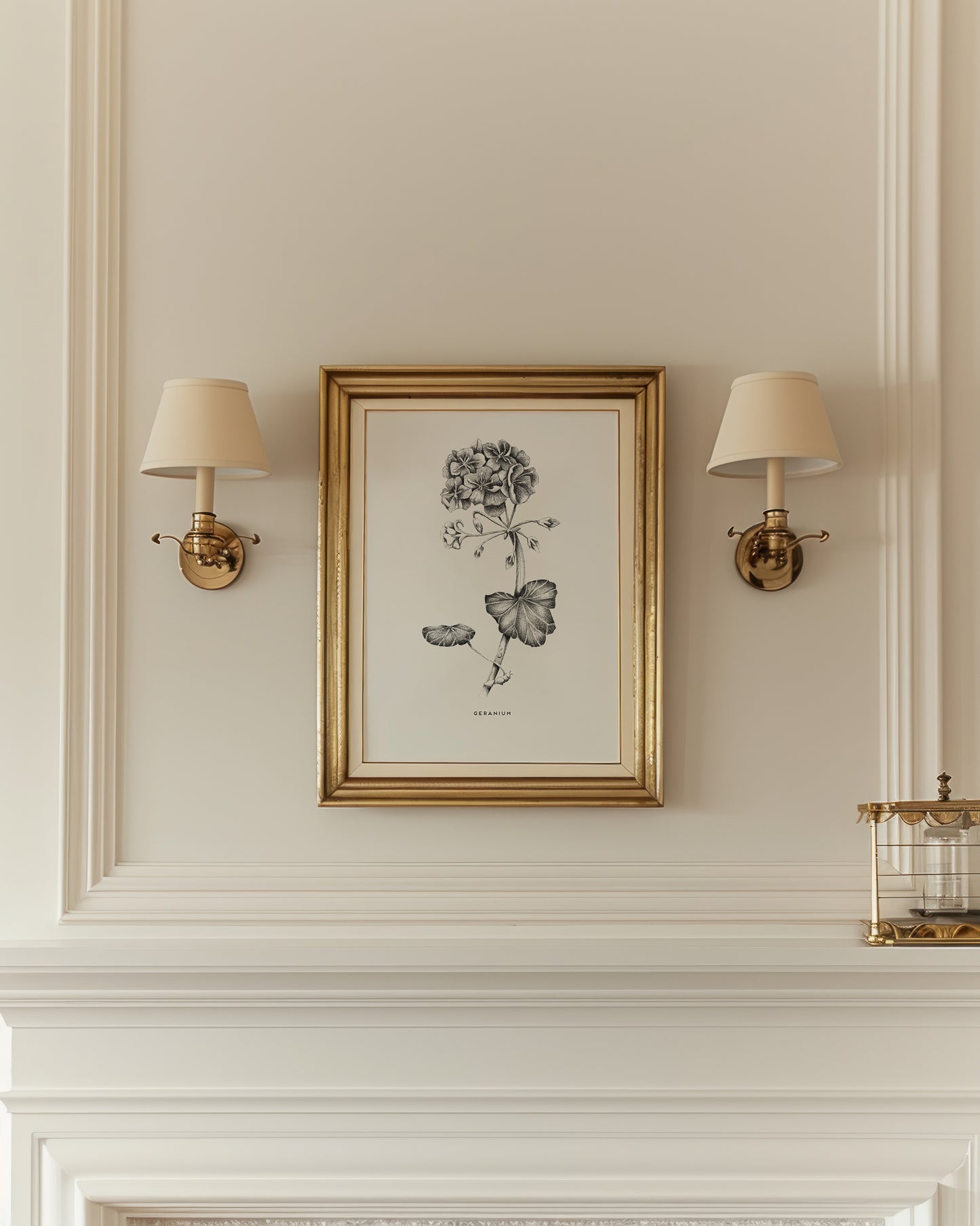 Botanical Illustrations