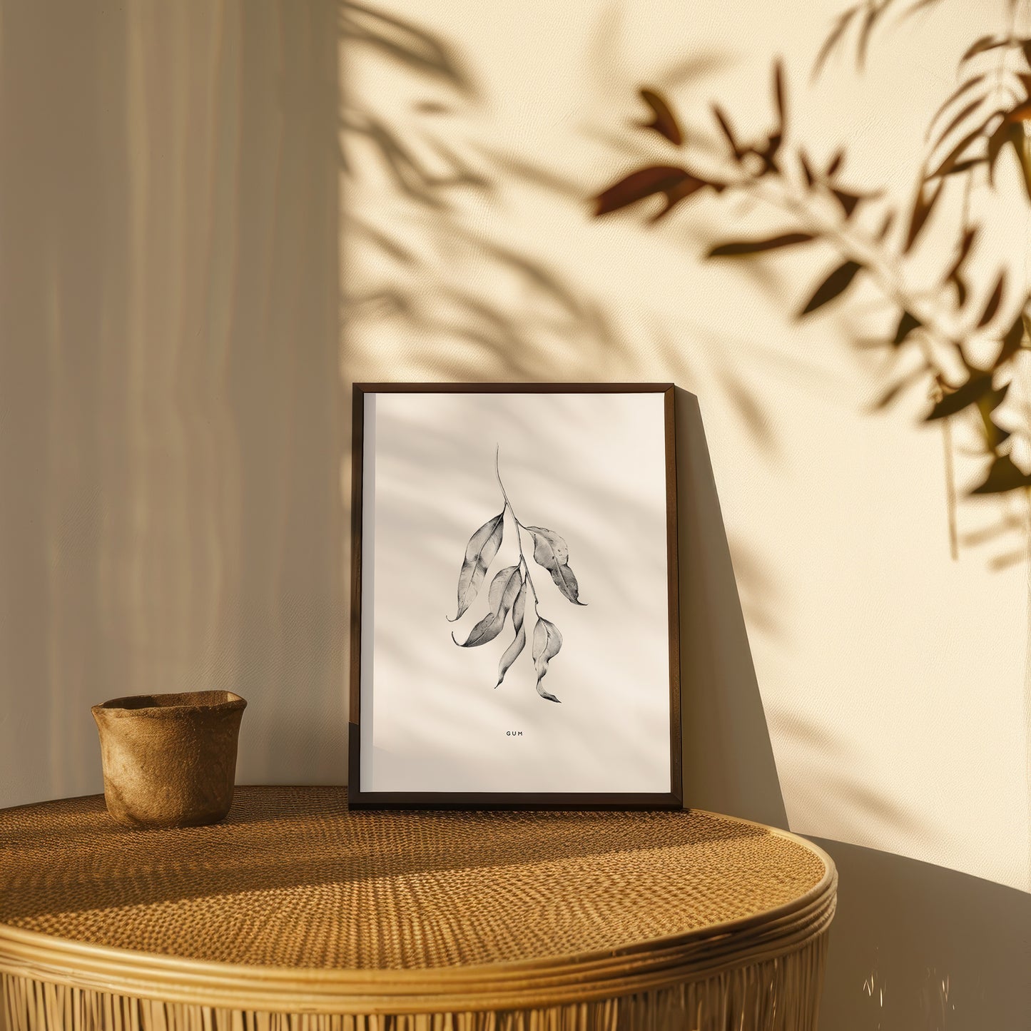 Botanical Illustrations