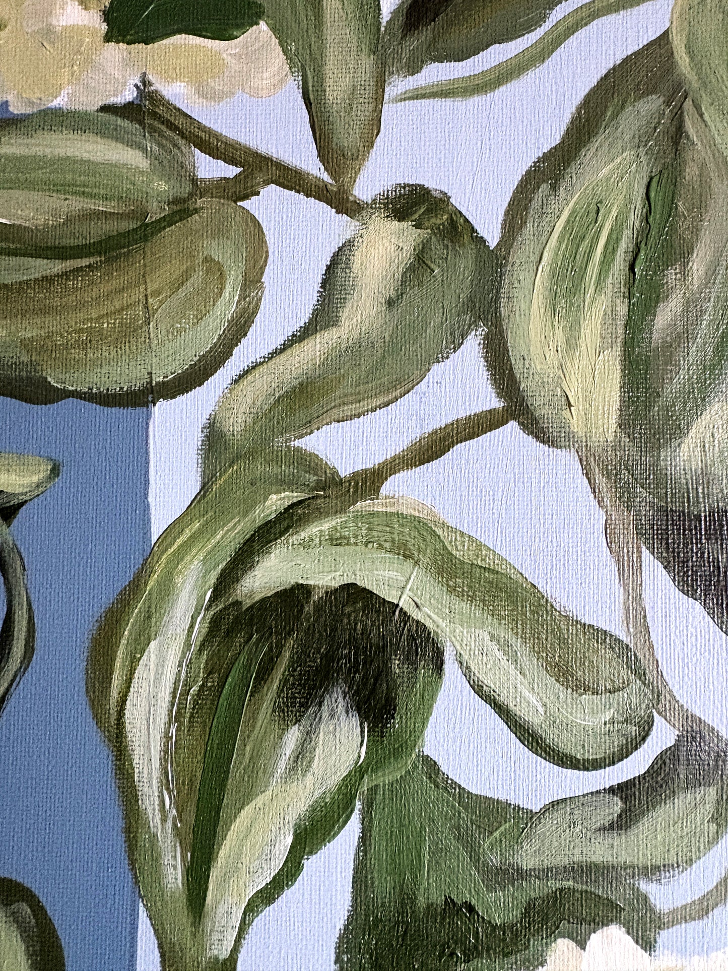 Hydrangea Garden