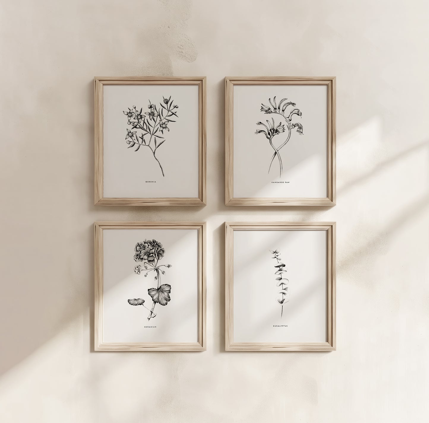 Botanical Illustrations