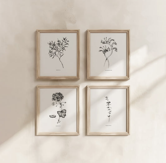 Botanical Illustrations